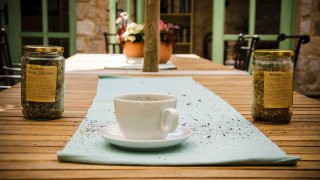 Yoga in Hotel Balatura Croatia - travel with Terra balka