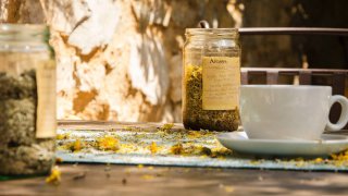 Yoga in Hotel Balatura Croatia - travel with Terra balka