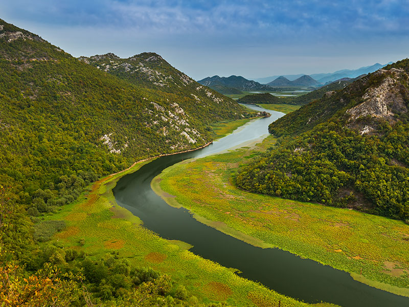 Skadar lake - honeymoon Montenegro Europe
