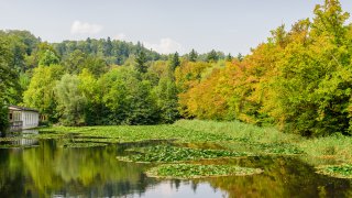 Picturesque pond - Slovenia Terra Balka - Travel Europe