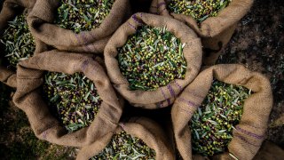  Istria and its products 