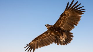  Unusual activities in Zagreb 