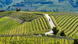 dobrovo bike tour - tailor-made tours Slovenia Europe