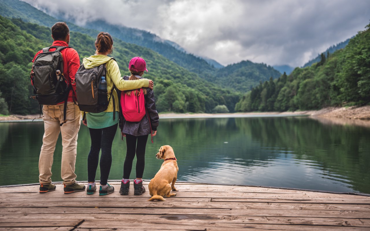 dolphin - tailor-made family trips Italy Slovenia Croatia Europe