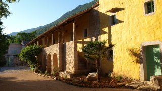 Yoga in Hotel Balatura Croatia - travel with Terra balka