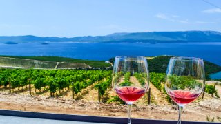  Oenotourism in Istria - terra balka 