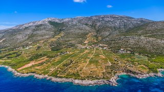  Peljesac peninsula vineyards - tailor-made tours Croatia Europe 