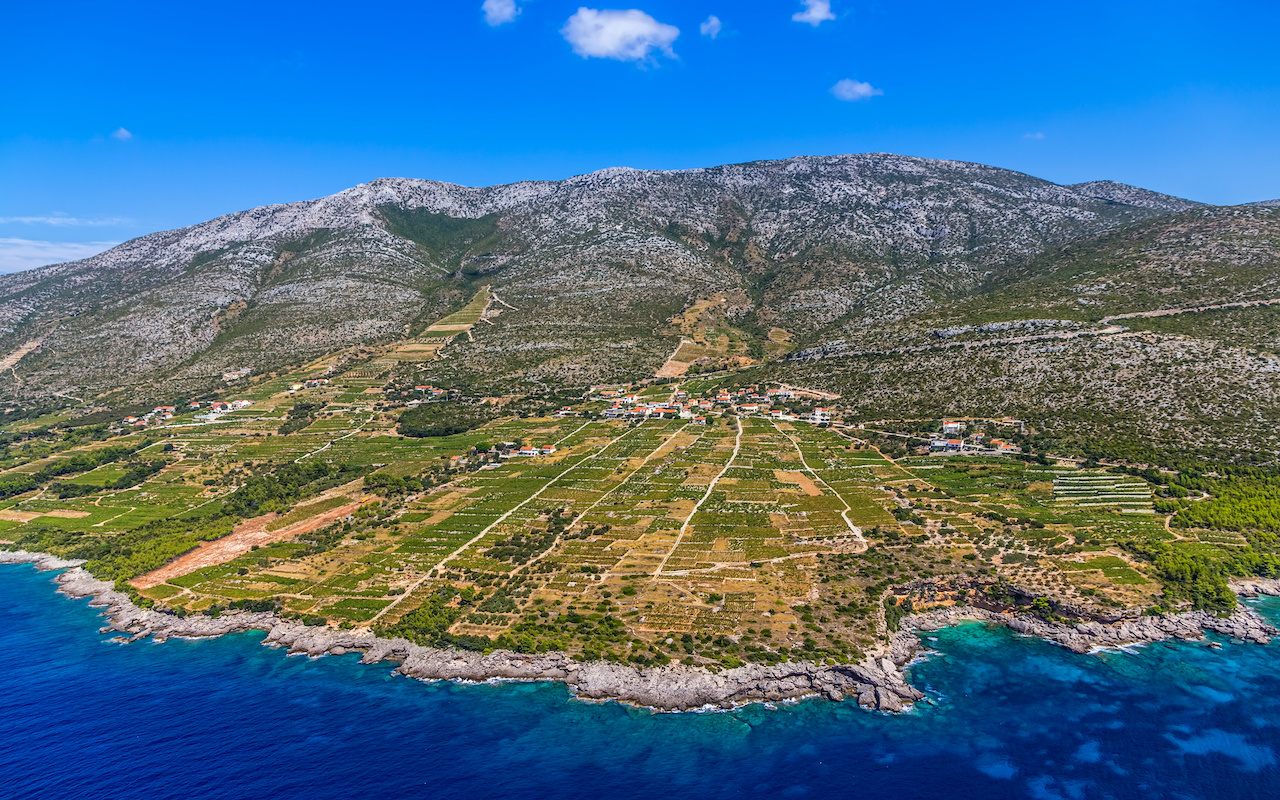 Peljesac peninsula vineyards - tailor-made tours Croatia Europe