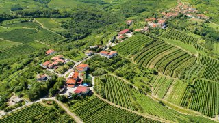  vineyard gastronomic journey - tailor-made trips Slovenia Europe 