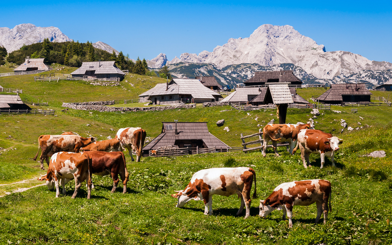 Family round-trip Slovenia and Croatia - terra balka