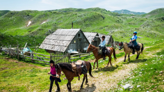 Horse ridding - travel to montenegro Europe